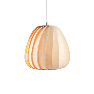 The TR12 Small Pendant by Tom Rossau 0